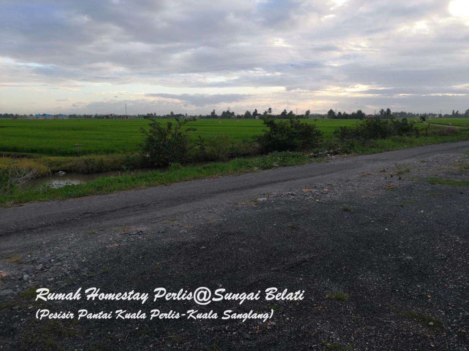 Rhumah Sungai Belati Villa Simpang Empat  Luaran gambar